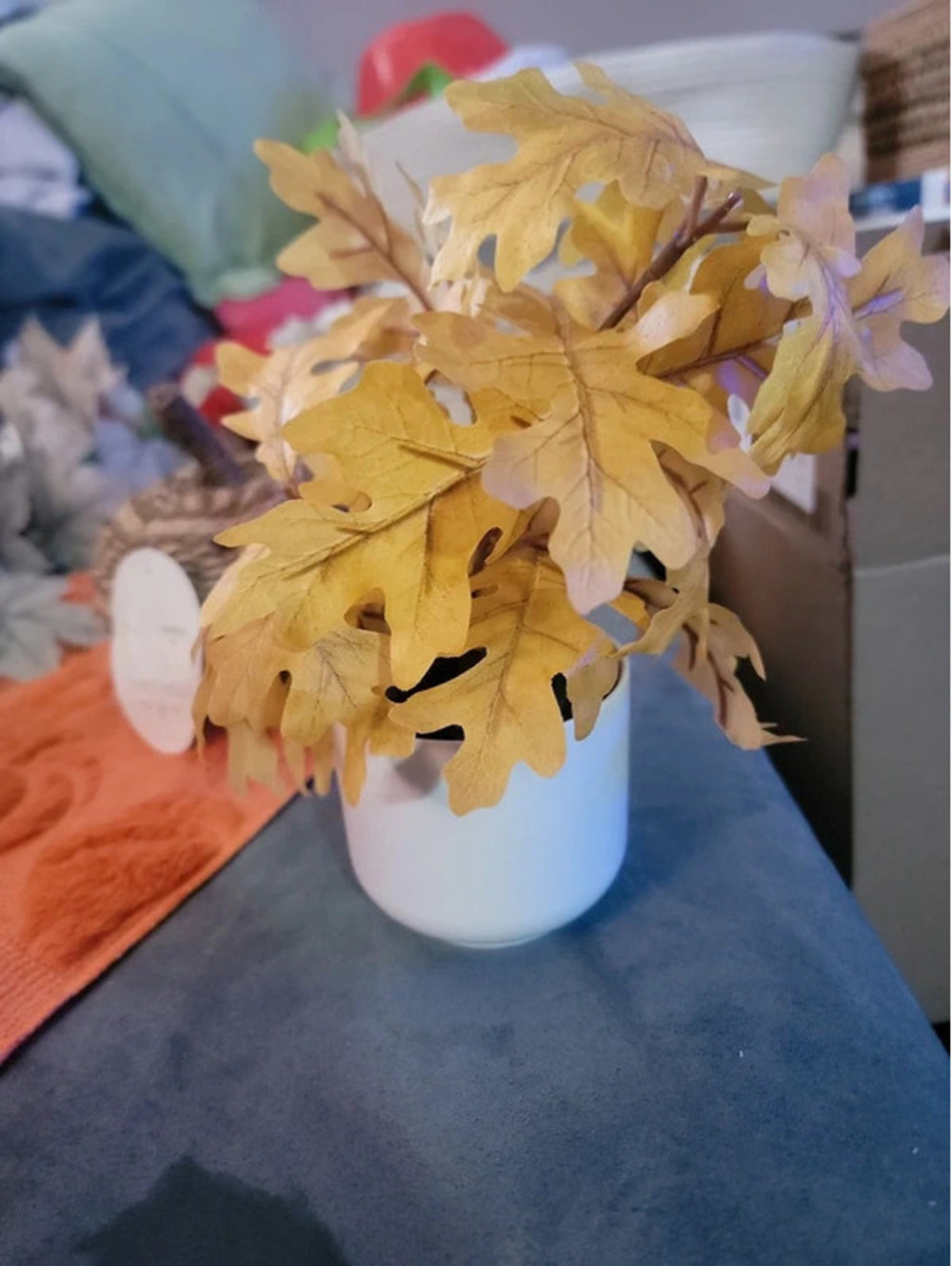 Fall bundle! Reed below - Picture 5 of 15